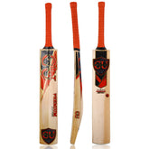 CU Sports English Willow Premium Edition cricket bat front view