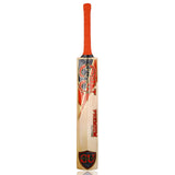 Cricket bat with red grip and 3D stickers